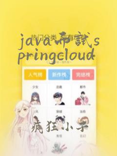 java面试springcloud