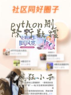 python删除行数据