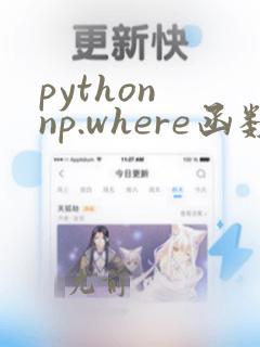 python np.where函数