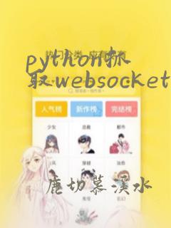 python抓取websocket