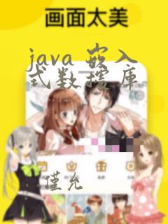java 嵌入式数据库