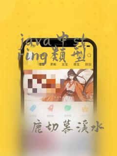 java中string类型