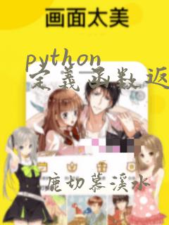 python 定义函数返回类型