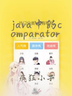 java中的comparator
