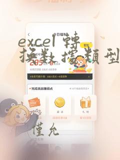 excel 转换数据类型