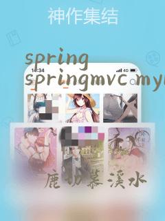 spring springmvc mybatis框架技术精讲