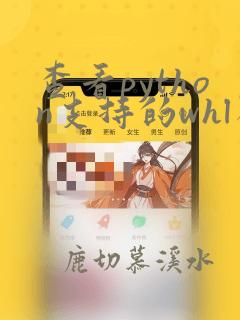 查看python支持的whl类型