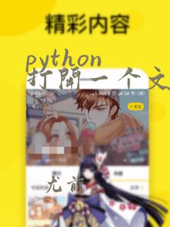 python 打开一个文件