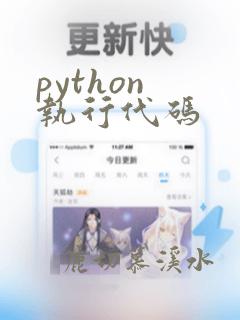 python 执行代码