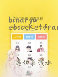 binarywebsocketframe