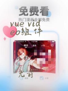 vue video组件