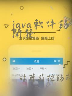 java软件的开发