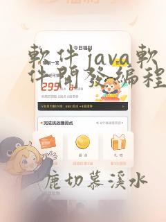 软件java软件开发编程