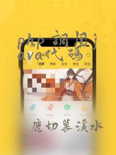 php 调用java代码