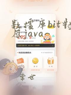 数据库bit对应java