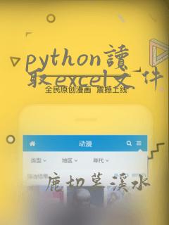 python读取excel文件过大