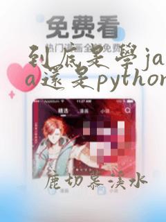 到底是学java还是python