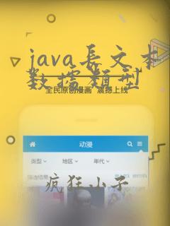 java长文本数据类型