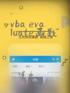 vba evaluate函数