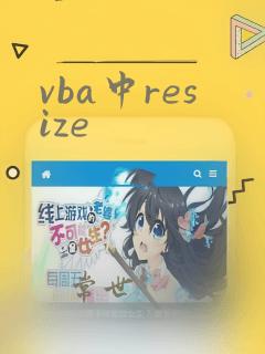 vba中resize