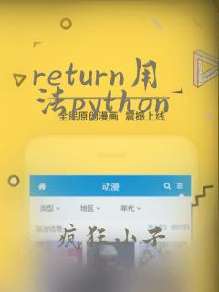 return用法python