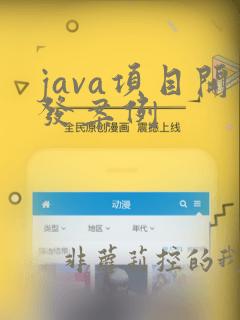 java项目开发案例