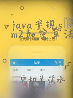 java实现sm2加密算法