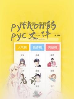 python的pyc文件