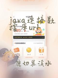 java连接数据库url