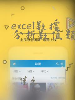 excel数据分析数值类型