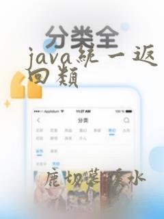 java统一返回类
