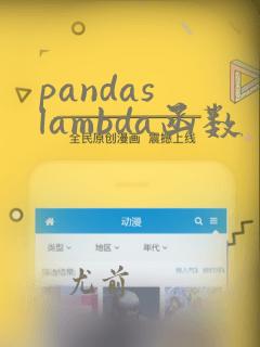 pandas lambda函数
