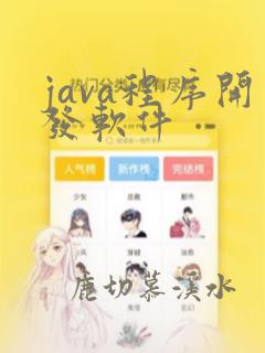 java程序开发软件