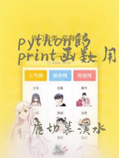 python的print函数用法