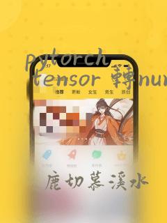 pytorch tensor 转numpy