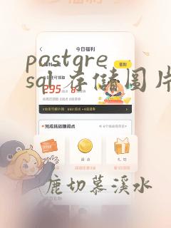 postgresql 存储图片