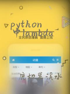 python 中lambda