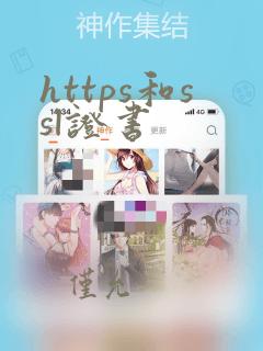 https和ssl证书