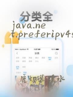 java.net.preferipv4stack