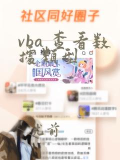 vba 查看数据类型