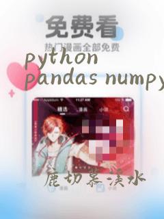 python pandas numpy区别