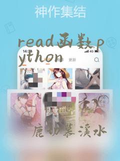 read函数python