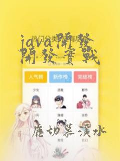 java开发 开发实战
