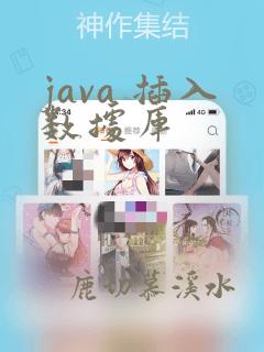 java 插入数据库