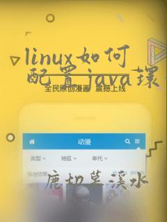 linux如何配置java环境变量