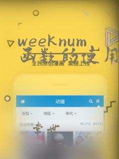 weeknum函数的使用方法及实例