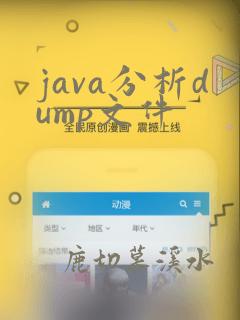 java分析dump文件