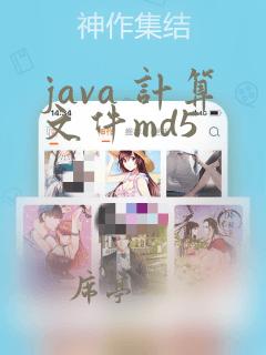 java 计算文件md5
