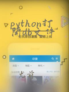 python打开db文件