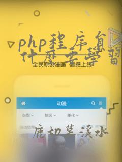 php程序员为什么要学习python